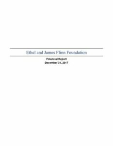 2017 Financial Report