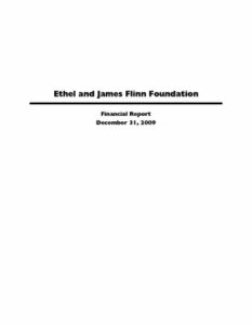 2009 Financial Report
