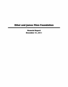 2011 Financial Report