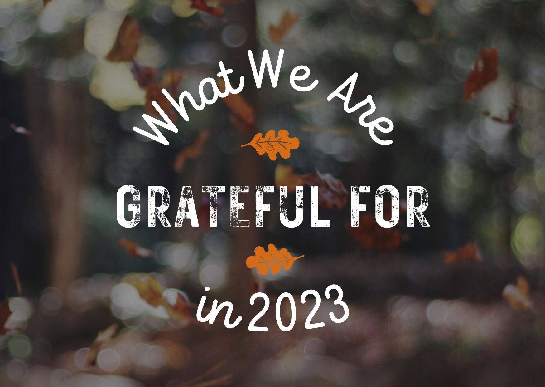 what-we-are-grateful-for-in-2023