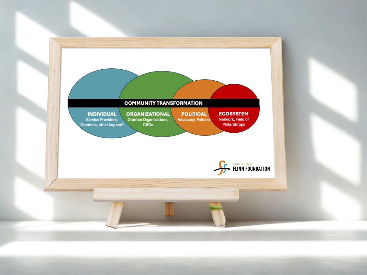 Graphic showing key element of presentation to Flinn Foundation Board during five-year strategic plan review.